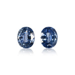 11.82 Karat Blauer Ovaler Saphir BELLEROPHON