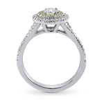 Platinum Collection Color and Fancy Vivid Yellow Diamond Double Halo Ring