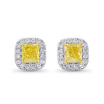 Fancy Yellow Cushion Diamond Halo Earrings