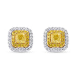 Fancy Yellow Cushion Double Halo Earrings