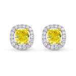 Fancy Intense Yellow Cushion Diamond Halo Earrings