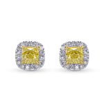 Fancy Yellow Cushion Halo Stud Earrings