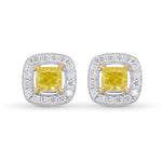 Fancy Intense Yellow Cushion Halo Earrings