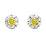 Fancy Yellow Radiant Diamond Basket Halo Earrings