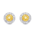 Fancy Intense Yellow Round Brilliant Double Halo Diamond Earrings