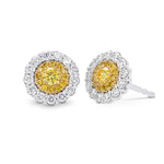 Round Brilliant Fancy Intense Yellow Diamond Halo Earrings