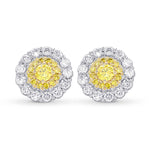 Fancy Vivid Yellow Brilliant Double Halo Earrings