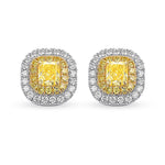 Fancy Intense Yellow Radiant Double Halo Earrings