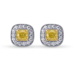 Fancy Intense Yellow Cushion Diamond Earrings