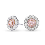 Argyle Fancy Intense Pink Diamond Floral Halo Earrings