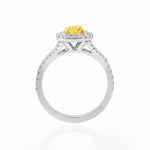 Fancy Intense Yellow Cushion Diamond Double Halo Ring
