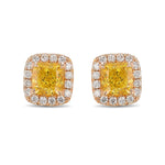 Fancy Vivid Yellow Cushion Halo Diamond Earrings