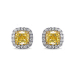 Fancy Yellow Cushion Halo Earrings
