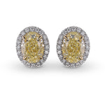 Fancy Light Yellow Oval Halo Diamond Earrings