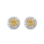 Fancy Vivid Yellow Round Brilliant Double Halo Diamond Earrings