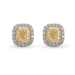 Fancy Yellow Cushion Halo Earrings