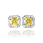 Fancy Intense Yellow Cushion Diamond Halo Earrings