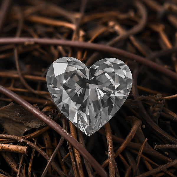 Scott Disick Mourns Death of Parents a Year After Being Knighted