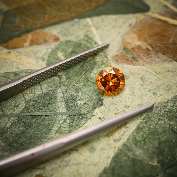 De Beers Big Game Safari in Botswana