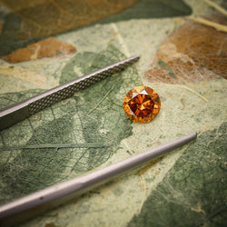 De Beers Big Game Safari in Botswana