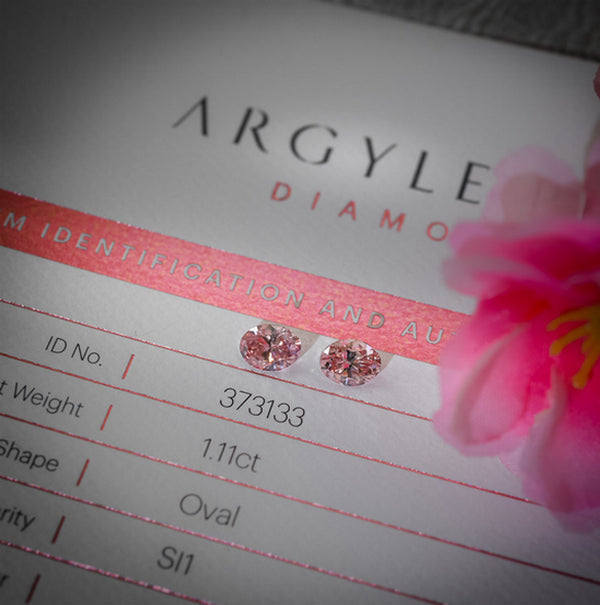 LEIBISH Wins 6 Diamonds in the 2011 Argyle Pink Diamond Tender