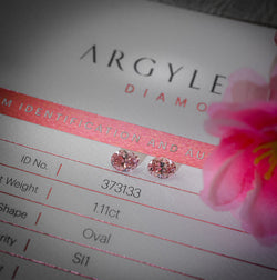 LEIBISH Wins 6 Diamonds in the 2011 Argyle Pink Diamond Tender