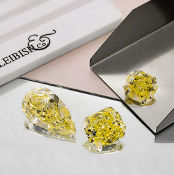 The Year the Virtual Revolution Started