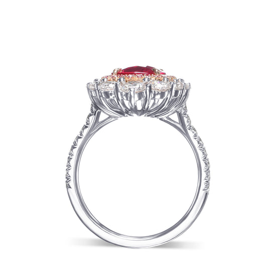 Cushion Mozambique Ruby and Diamond Double Halo Ring