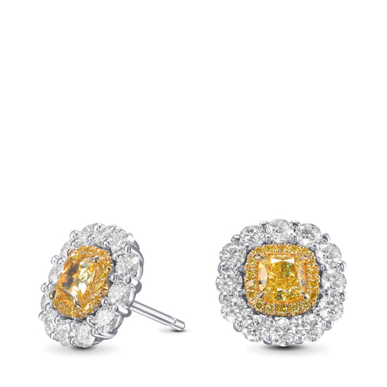 Fancy Intense Yellow Cushion Double Halo Diamond Earrings