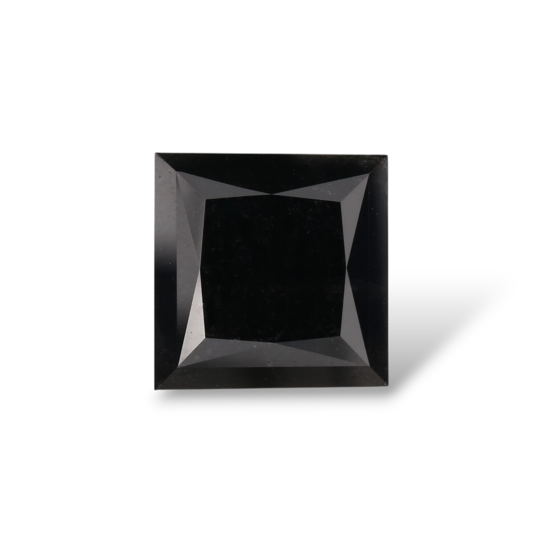 4.81 Carat Black Princess Diamond