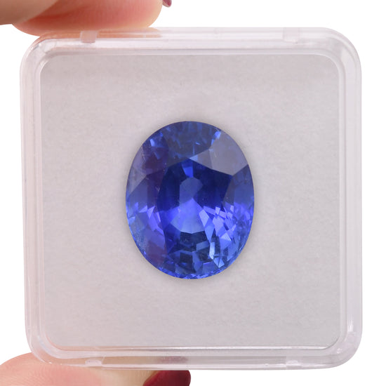 22.00 Carat  SRI LANKAN Oval Sapphire AGL