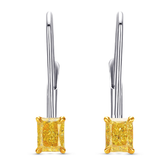 Diamond Drop Leverback Earrings