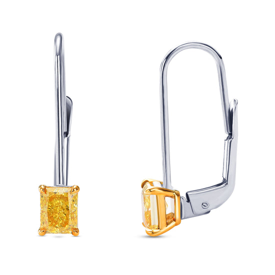 Diamond Drop Leverback Earrings - 2