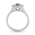 Fancy Deep Brown Round Diamond Double Halo Ring