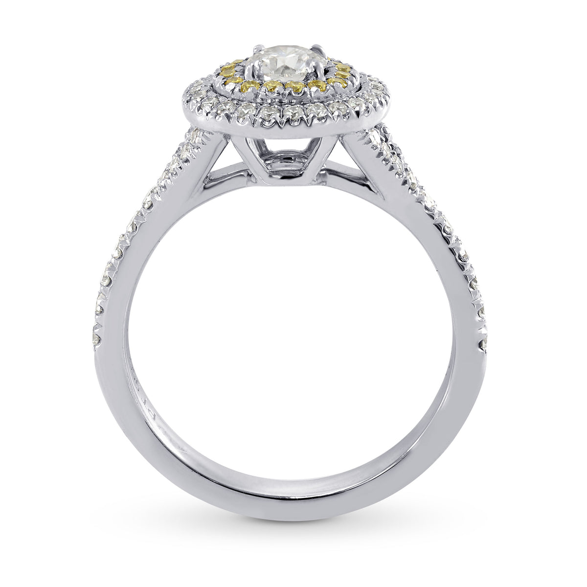 Platinum Collection Color and Fancy Vivid Yellow Diamond Double Halo Ring