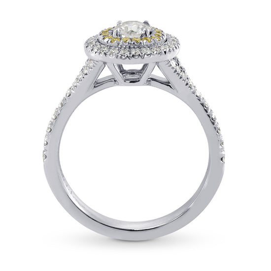 Platinum Collection Color and Fancy Vivid Yellow Diamond Double Halo Ring