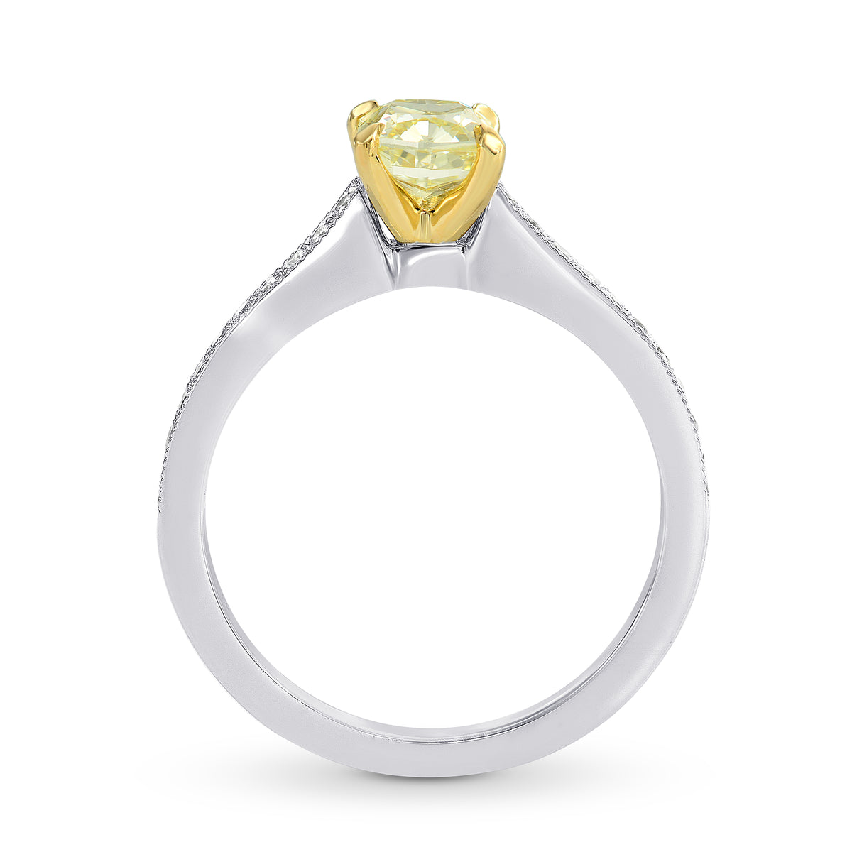 Fancy Yellow Cushion Diamond Pave Milgrain Ring
