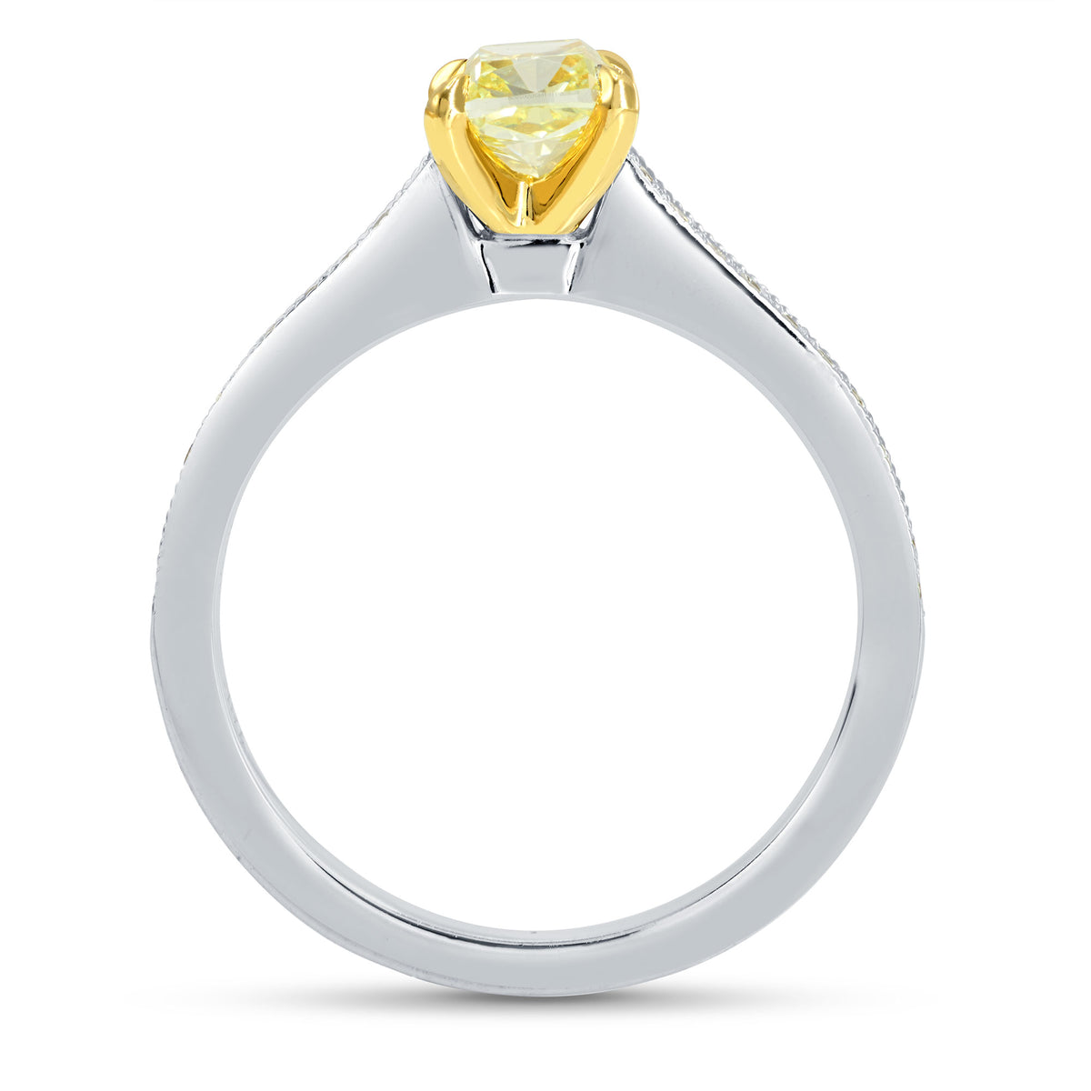 Fancy Yellow Cushion Diamond Pave Milgrain Ring