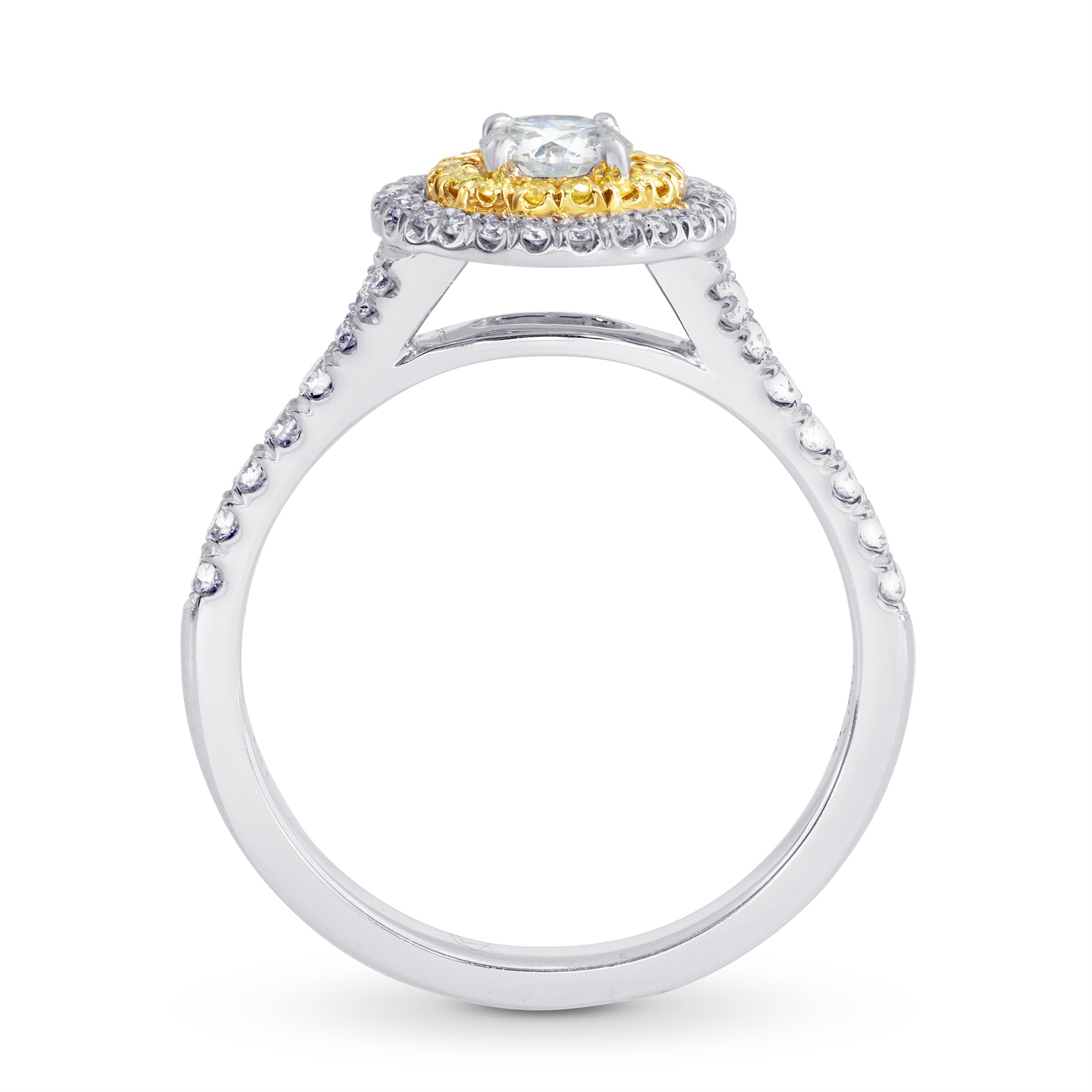 Round White and Fancy Intense Yellow Diamond Double Halo Ring