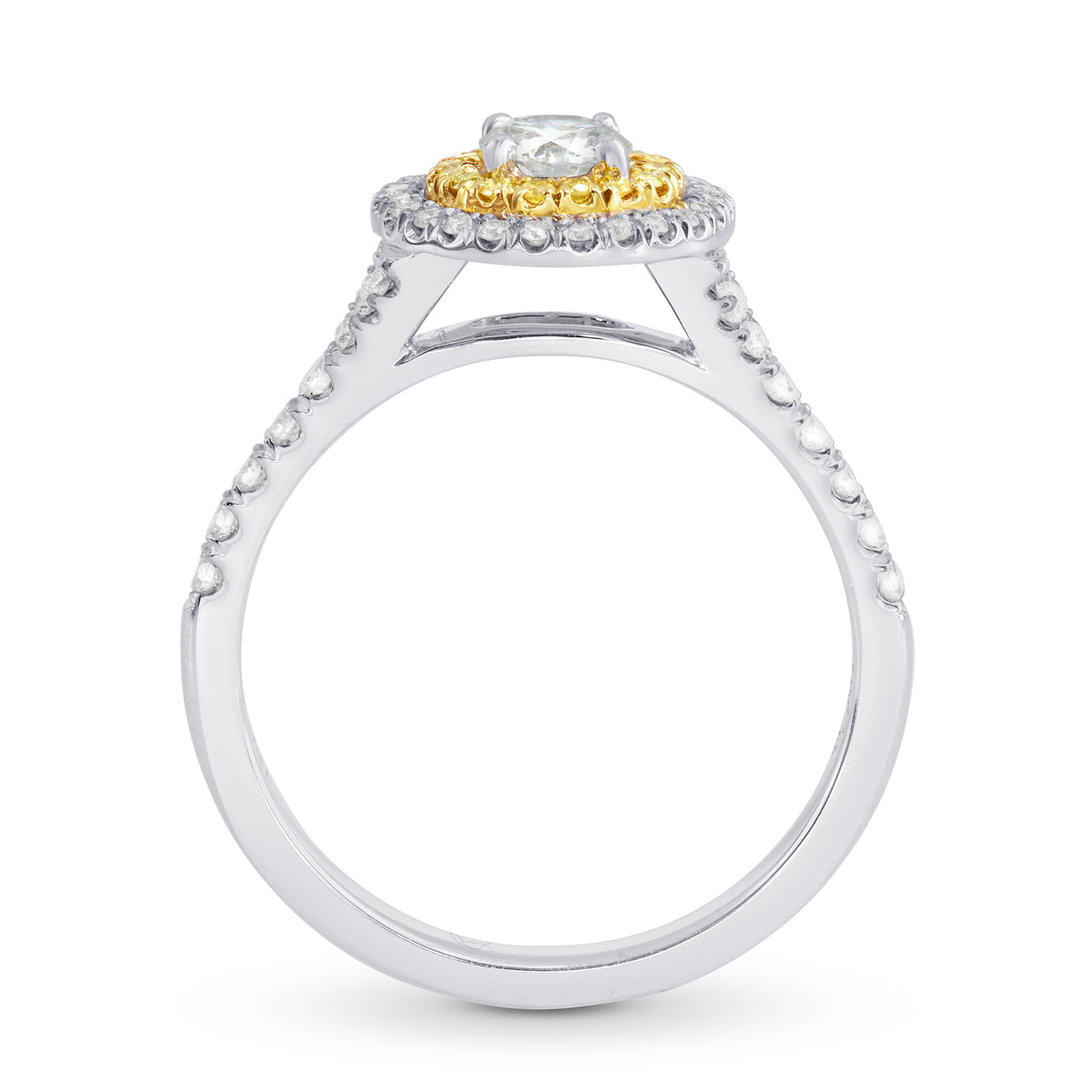 Round White and Fancy Intense Yellow Diamond Double Halo Ring