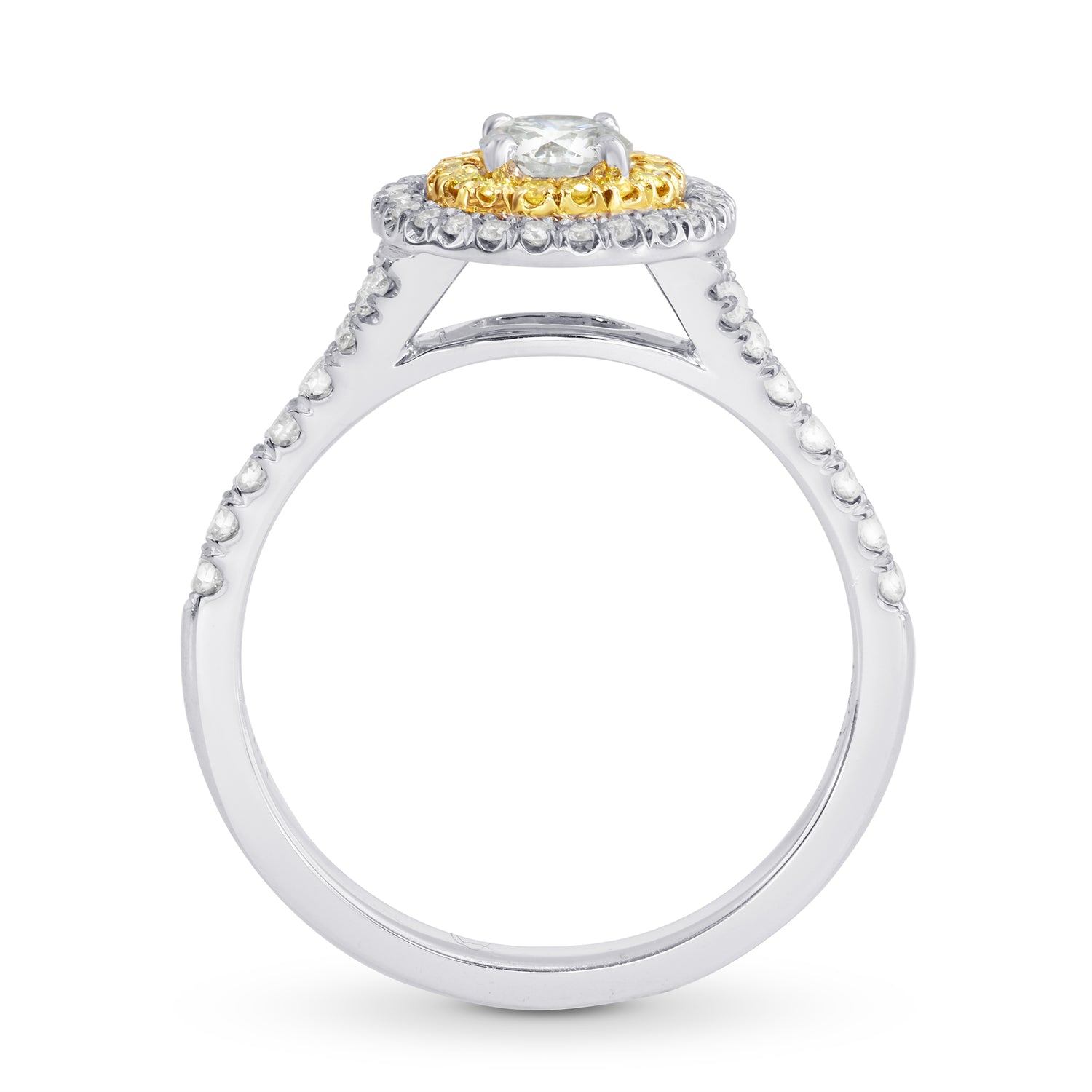 Round White and Fancy Intense Yellow Diamond Double Halo Ring