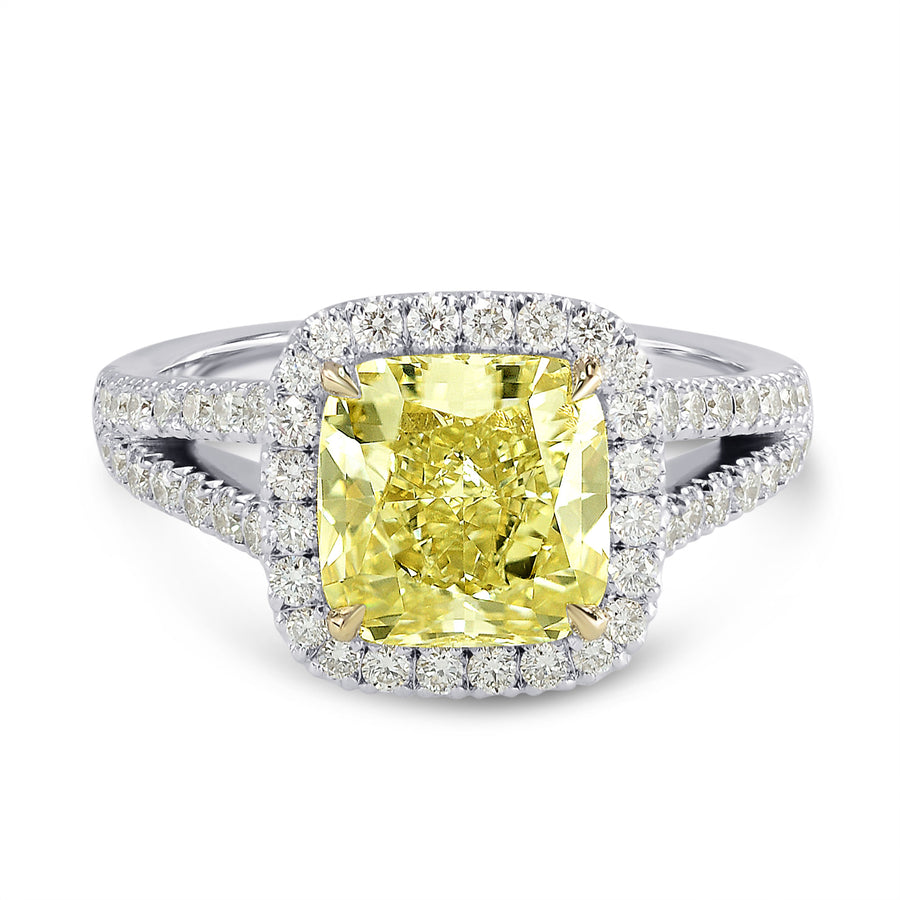 Open Pave Split Shank Diamond Halo Ring Setting