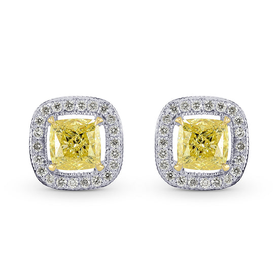 Fancy Intense Yellow Cushion Diamond Halo Earrings