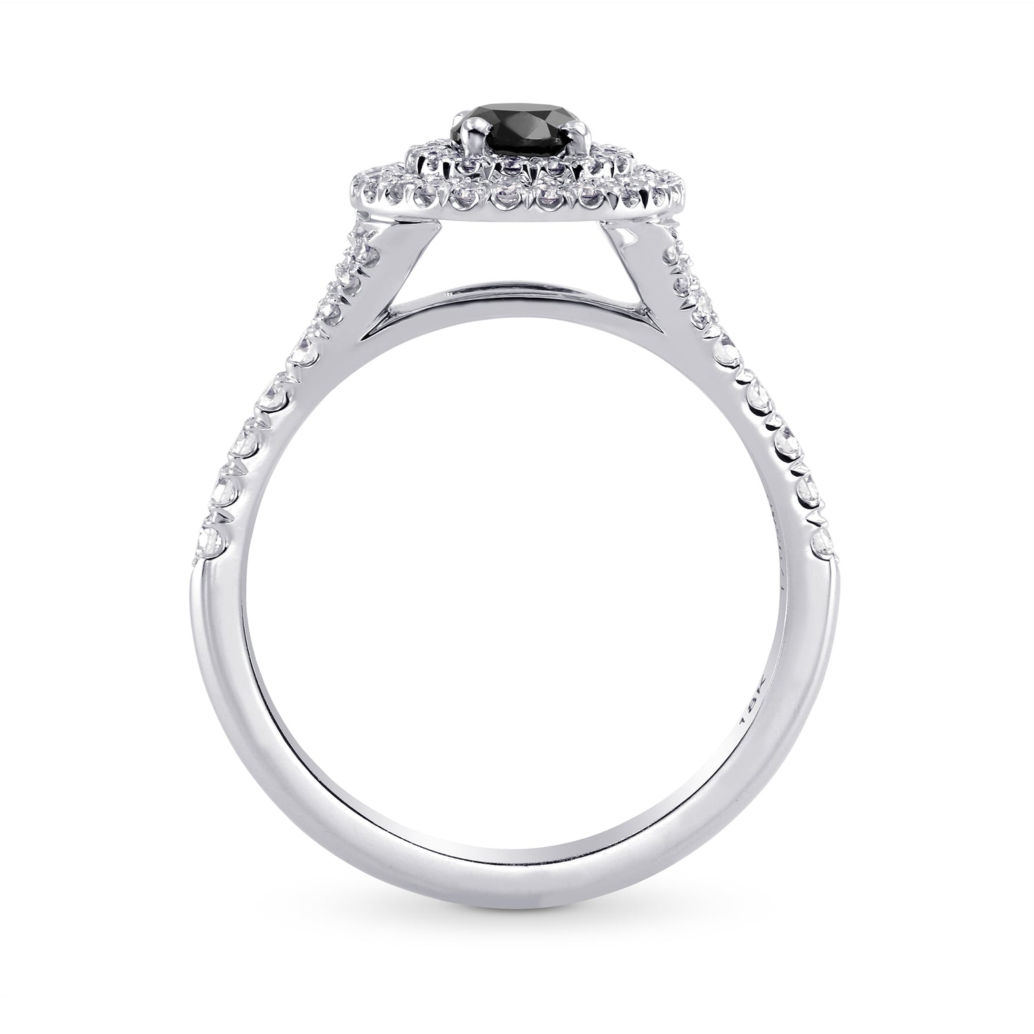 Black Diamond Double Halo Ring