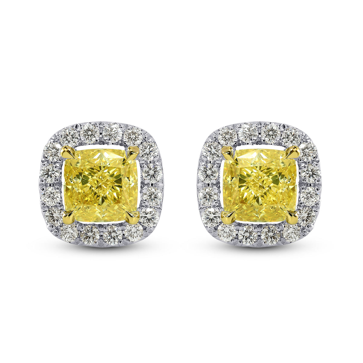 Fancy Intense Yellow Halo Earrings 