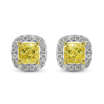 Fancy Intense Yellow Halo Earrings 