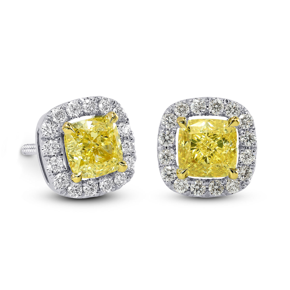 Fancy Intense Yellow Halo Earrings 