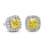 Fancy Intense Yellow Halo Earrings 