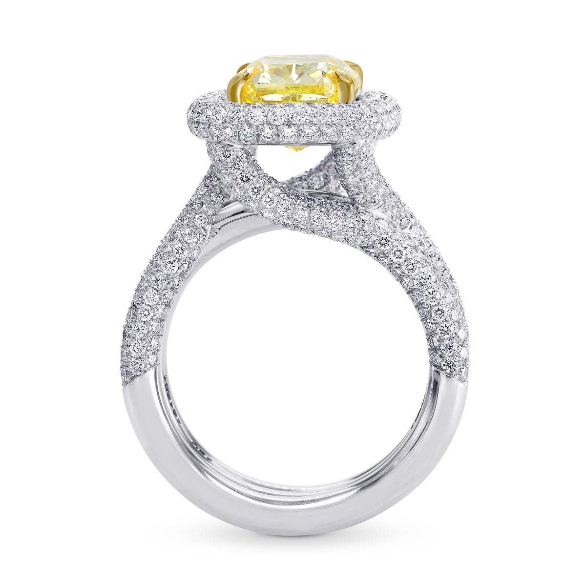 Extraordinary Halo and Multiple Band Fancy Intense Yellow  Ring  