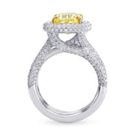 Extraordinary Halo and Multiple Band Fancy Intense Yellow  Ring  